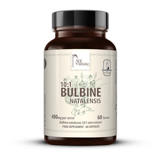 NICE SUPPLEMENT CO BULBINE NATALENSIS 10:1 400MG - 60 CAPSULES